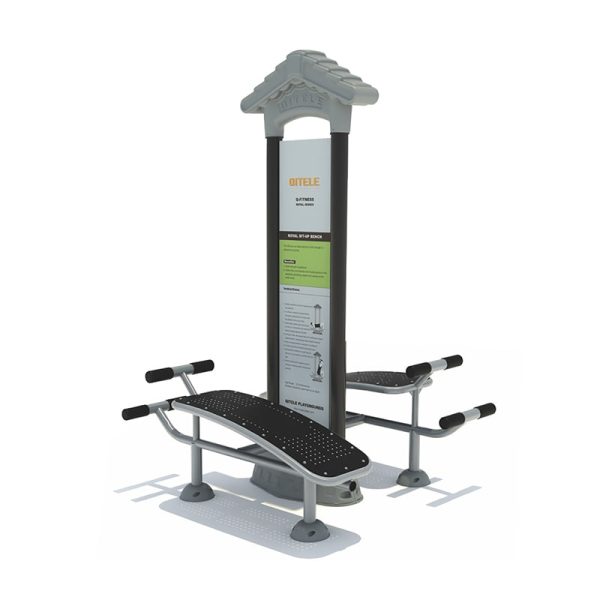 Outdoor Royal Adult Fitness Equipment FS-23604